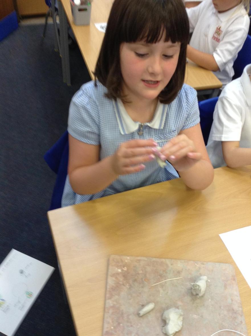IMG_5308 