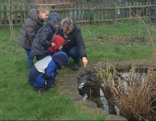 Picture of Forest School